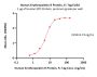 Human Erythropoietin R / EPO R Protein, Fc Tag (MALS verified)