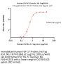 Human FGF-17 Protein, His Tag (HPLC verified)