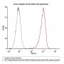 FITC-Labeled Monoclonal Anti-FMC63 Antibody, Mouse IgG1 (Y45), premium grade