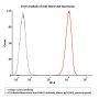 PE-Labeled Monoclonal Anti-FMC63 Antibody, Mouse IgG1 (Y45), premium grade (Site-specific conjugation)