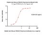 Rabbit Anti-Mouse FMC63 Polyclonal Antibody (recommended for ADA assay) (MALS verified)