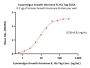 Cynomolgus Growth Hormone R (GHR) Protein, His Tag