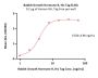 Rabbit Growth Hormone R (GHR) Protein, His Tag