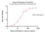 Mouse GITR / TNFRSF18 Protein, His Tag