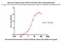 Monoclonal Glycoprotein D (HSV-2) Antibody, Mouse IgG1 (3H9) (MALS verified)