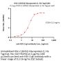 HSV-2 (HG52) Glycoprotein E Protein, His Tag (MALS verified)