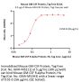 Mouse GM-CSF Protein, Tag Free