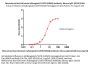 Monoclonal Anti-HA (strain A/Bangkok/1/1979 (H3N2)) Antibody, Mouse IgG1 (2D10)