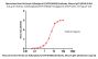 Monoclonal Anti-HA (strain A/Bangkok/1/1979 (H3N2)) Antibody, Mouse IgG1 (2D10)