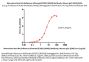 Monoclonal Anti-HA (Influenza A/Darwin/9/2021 (H3N2)) Antibody, Mouse IgG1 (1D6)