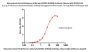 Monoclonal Anti-HA (Influenza A/Darwin/9/2021 (H3N2)) Antibody, Mouse IgG1 (1D6)