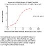 Human Her2 & ErbB3 Protein, Fc Tag&Fc Tag (MALS verified)