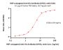 HRP conjugated Anti-His Antibody (AY63), mAb