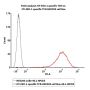 PE-Labeled Human HLA-A*02:01&B2M&NY-ESO-1 (SLLMWITQC) Tetramer Protein