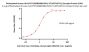 Biotinylated Human HLA-B*07:02&B2M&HPV16 E7 (KPTLKEYVL) Complex Protein (Monomer, MALS verified)