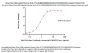 Alexa Fluor™ 488-Labeled Human HLA-A*11:01&B2M&KRASG12D (VVVGADGVGK) Complex Protein (Monomer)