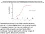 Alexa Fluor™ 488-Labeled Human HLA-A*11:01&B2M&KRASG12D (VVGADGVGK) Complex Protein (Monomer)