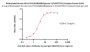 Biotinylated Human HLA-A*02:01&B2M&Glypican 3 (FVGEFFTDV) Complex Protein (Monomer, MALS verified)