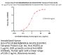 Human HLA-A*02:01&B2M&MAGE-A4 (KVLEHVVRV) Tetramer Protein (MALS verified)