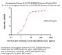 Unconjugated Human HLA-A*02:01&B2M Monomer Protein (Peptide free, MALS verified)