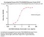 Unconjugated Human HLA-A*02:01&B2M Monomer Protein (Peptide free, MALS verified)