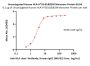 Unconjugated Human HLA-A*02:01&B2M Monomer Protein (Peptide free, MALS verified)