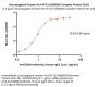 Unconjugated Human HLA-A*11:01&B2M Monomer Protein (Peptide free, MALS verified)