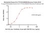 Biotinylated Human HLA-C*07:02:01&B2M Monomer Protein (Peptide free, MALS verified)