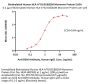 Biotinylated Human HLA-A*02:01&B2M Monomer Protein (Peptide free, MALS verified)
