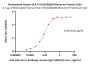 Biotinylated Human HLA-A*02:01&B2M Monomer Protein (Peptide free, MALS verified)