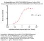 Biotinylated Human HLA-A*24:02&B2M Monomer Protein (Peptide free, MALS verified)