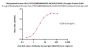 Biotinylated Human HLA-A*02:01&B2M&MAGE-A4 (KVLEHVVRV) Complex Protein (Monomer, MALS verified)