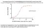 Unconjugated Human HLA-A*11:01&B2M&KRASG12V (VVVGAVGVGK) Complex Protein (Monomer, MALS verified)