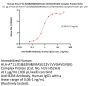 Human HLA-A*11:01&B2M&KRASG12V (VVGAVGVGK) Complex Protein (Monomer, MALS verified)