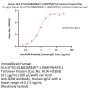 Human HLA-A*02:01&B2M&WT-1 (RMFPNAPYL) Tetramer Protein (MALS verified)