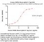 Human HVEM / TNFRSF14 Protein, Mouse IgG2a Fc Tag (MALS verified)