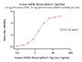 Human HVEM / TNFRSF14 Protein, Mouse IgG2a Fc Tag (MALS verified)