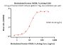 Biotinylated Human HVEM / TNFRSF14 Protein, Fc,Avitag™ (MALS verified)