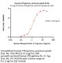 Human IFN-gamma / IFNG Protein, premium grade