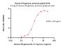 Human IFN-gamma / IFNG Protein, premium grade