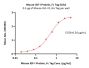 Mouse IGF-I Protein, Fc Tag (MALS verified)