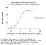 Cynomolgus IL-10 Protein, His Tag