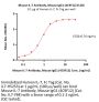 Mouse IL-7 Antibody, Mouse IgG1 (4C9F12) (HPLC verified)
