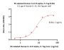 PE-Labeled Human IL-15 R alpha / CD215 Protein, Fc Tag (Site-specific conjugation)