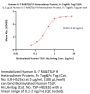 Human IL-7 R alpha&TSLP R Heterodimer Protein, Fc Tag&Fc Tag