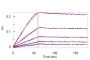 Human IL-7 R alpha&TSLP R Heterodimer Protein, Fc Tag&Fc Tag