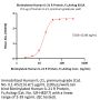 Biotinylated Human IL-21 R Protein, Fc,Avitag™ (MALS verified)