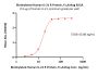 Biotinylated Human IL-21 R Protein, Fc,Avitag™ (MALS verified)
