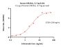 Human KIR2DL1 / CD158a / NKAT-1 Protein, Fc Tag