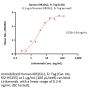 Human KIR2DL2 / CD158b1 / NKAT-6 Protein, Fc Tag